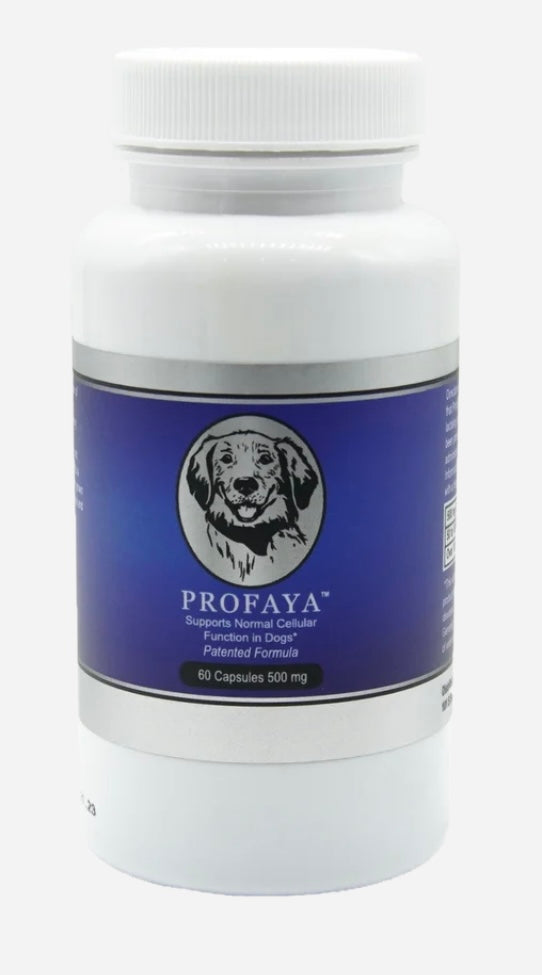 Profaya 500mg (Larger breeds)